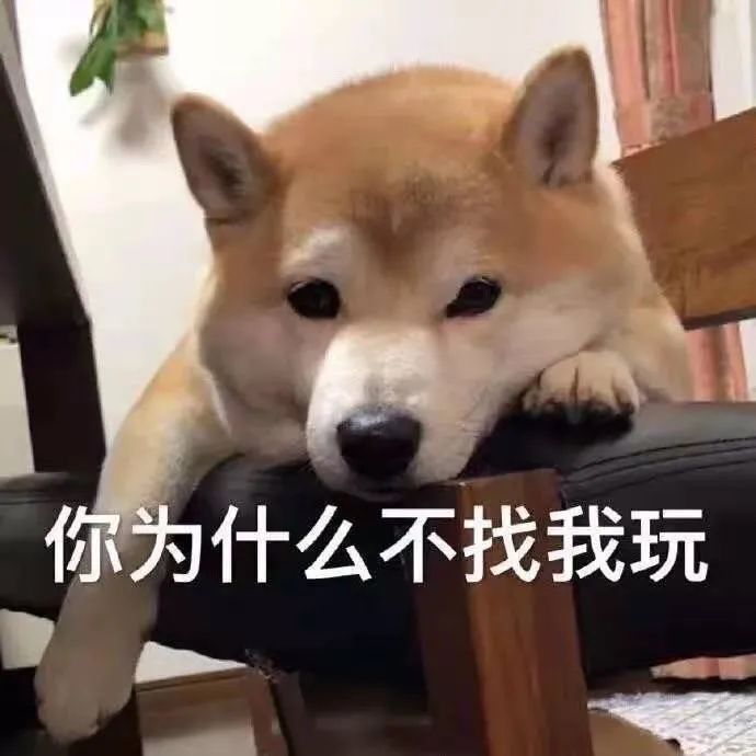 图片[16]-表情包-喜欢表情包分享—全网表情包