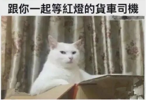 图片[14]-怎样在七夕前拿下你-喜欢表情包分享—全网表情包