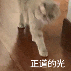 图片[16]-表情包-喜欢表情包分享—全网表情包