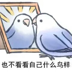 图片[24]-最近热门鸟语表情-喜欢表情包分享—全网表情包