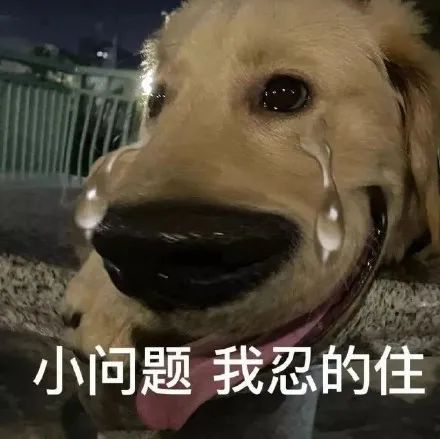 图片[1]-爷鬼混回来了-喜欢表情包分享—全网表情包