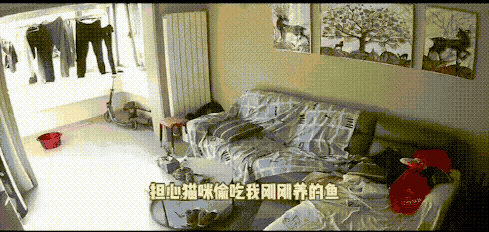 图片[1]-【GIF】哈哈哈嗝哈哈哈-喜欢表情包分享—全网表情包
