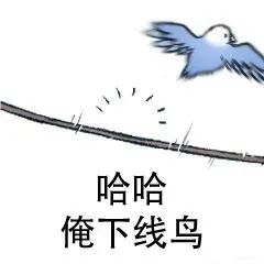 图片[22]-最近热门鸟语表情-喜欢表情包分享—全网表情包