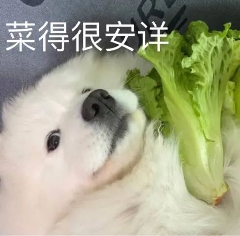 图片[13]-收图时间到~~-喜欢表情包分享—全网表情包