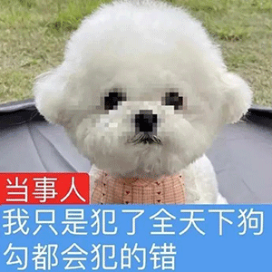 图片[2]-有没有人跟我处对象-喜欢表情包分享—全网表情包