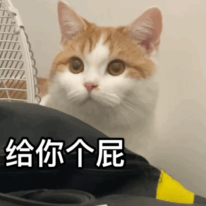 图片[5]-把心给你-喜欢表情包分享—全网表情包