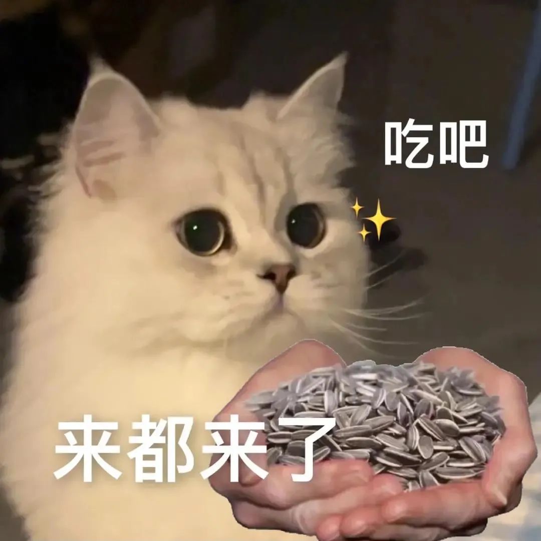 图片[6]-表情包-喜欢表情包分享—全网表情包