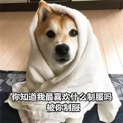 图片[5]-套路聊天表情合集-喜欢表情包分享—全网表情包