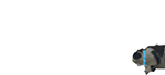 图片[4]-最近超火养鸡表情包-喜欢表情包分享—全网表情包