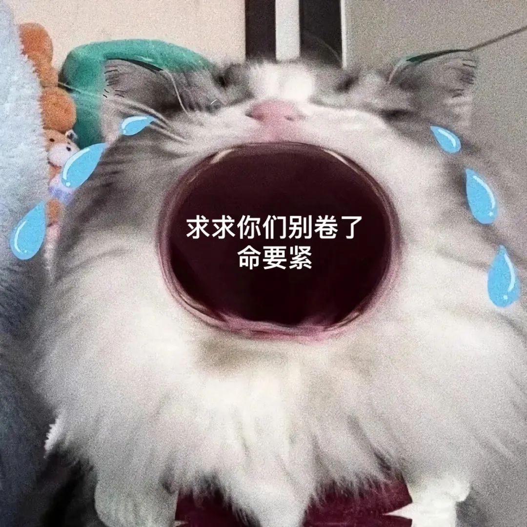 图片[11]-45个聊天撒娇必用大嘴猫表情-喜欢表情包分享—全网表情包