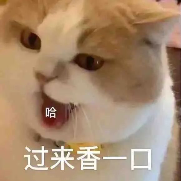图片[9]-不想学习不想上班-喜欢表情包分享—全网表情包