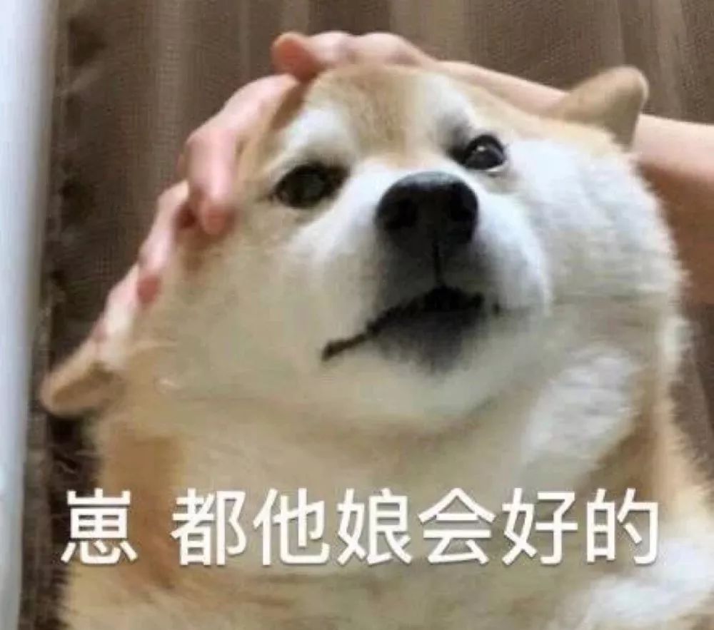 图片[12]-表情包-喜欢表情包分享—全网表情包