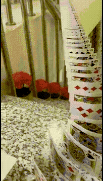 图片[1]-【GIF】直呼内行！-喜欢表情包分享—全网表情包