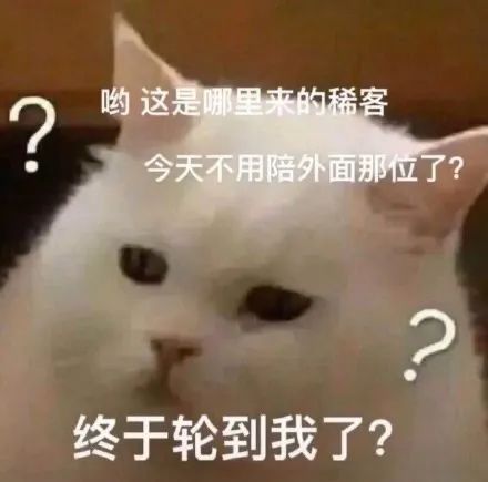 图片[24]-藕买嘎-喜欢表情包分享—全网表情包