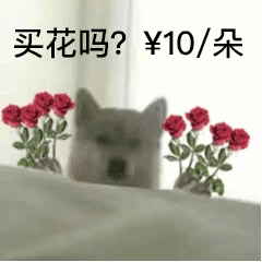 图片[35]-50个抖音很火的表情包-喜欢表情包分享—全网表情包
