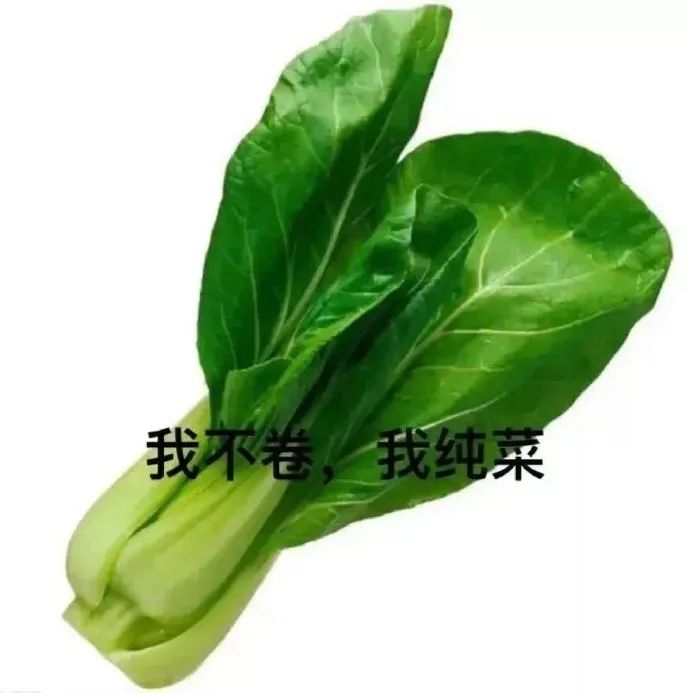 图片[14]-表情包-喜欢表情包分享—全网表情包