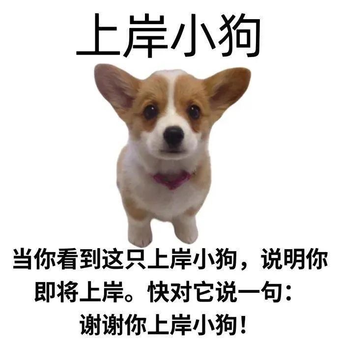 图片[9]-呜呜呜呜-喜欢表情包分享—全网表情包