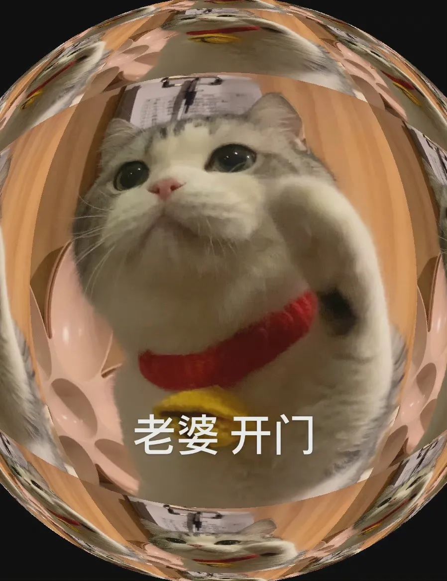 图片[1]-老子要亲死你-喜欢表情包分享—全网表情包