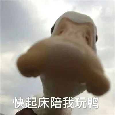 图片[4]-那些笑死人的沙雕表情包-喜欢表情包分享—全网表情包