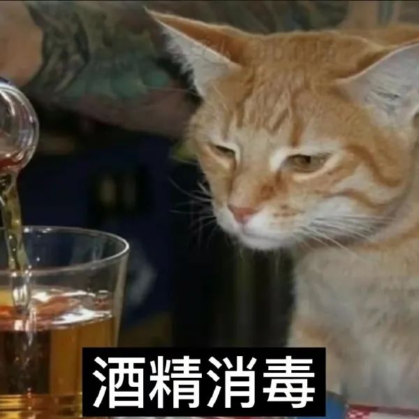 图片[6]-戴好口罩 人人有责-喜欢表情包分享—全网表情包