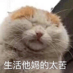 图片[11]-你要点脸-喜欢表情包分享—全网表情包