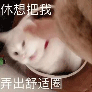 图片[3]-发什么鸟图 够劲！-喜欢表情包分享—全网表情包