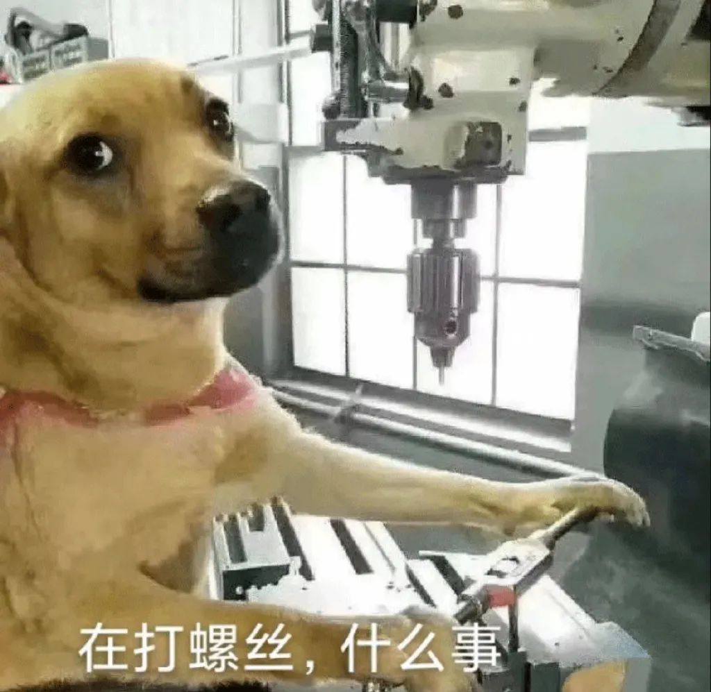 图片[15]-表情包-喜欢表情包分享—全网表情包