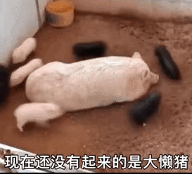 图片[6]-就你，给我看看你腹肌-喜欢表情包分享—全网表情包