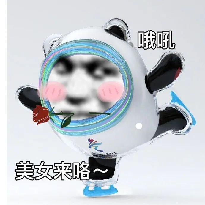 图片[18]-冰墩墩超火表情包大全-喜欢表情包分享—全网表情包
