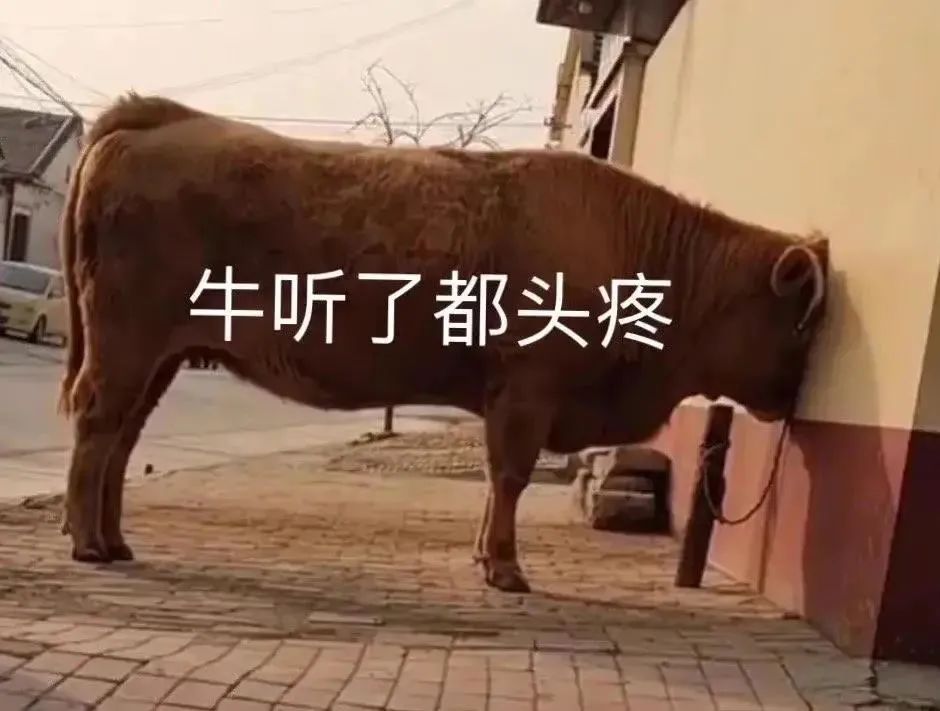 图片[8]-你好会哦-喜欢表情包分享—全网表情包
