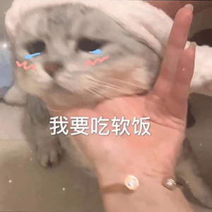 图片[5]-我闭眼了，你快亲我-喜欢表情包分享—全网表情包