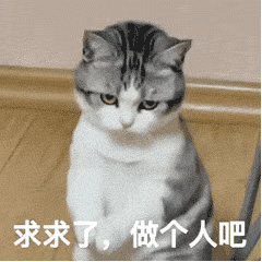 图片[19]-表情包-喜欢表情包分享—全网表情包