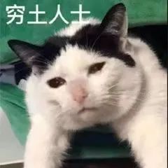 图片[1]-表情包-喜欢表情包分享—全网表情包