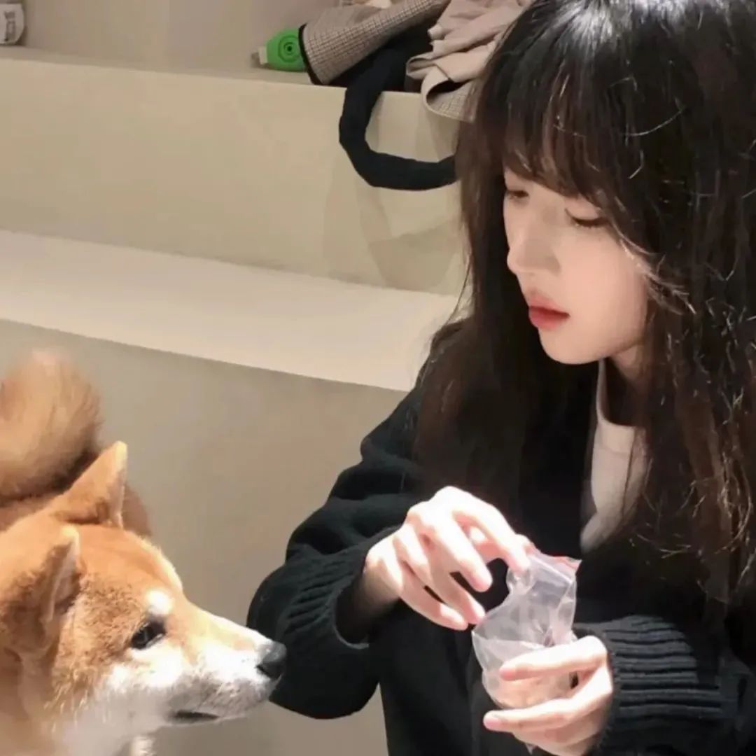 图片[26]-宝！选一个你喜欢的微信头像吧-喜欢表情包分享—全网表情包