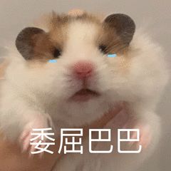 图片[7]-奇怪的表情增加了-喜欢表情包分享—全网表情包