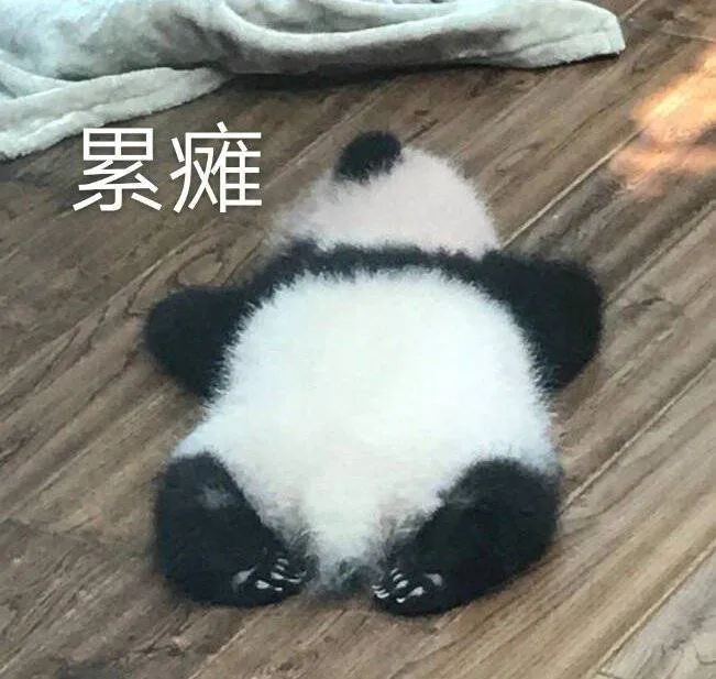 图片[14]-我就是缠你的身子-喜欢表情包分享—全网表情包