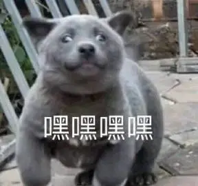 图片[22]-你说的很有道理 但是关我p事-喜欢表情包分享—全网表情包