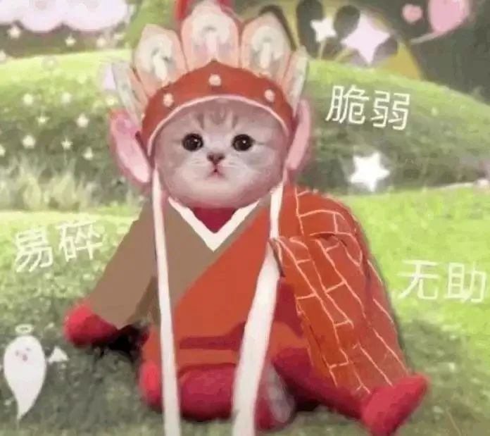 图片[16]-聊天沙雕表情包，承包了！-喜欢表情包分享—全网表情包