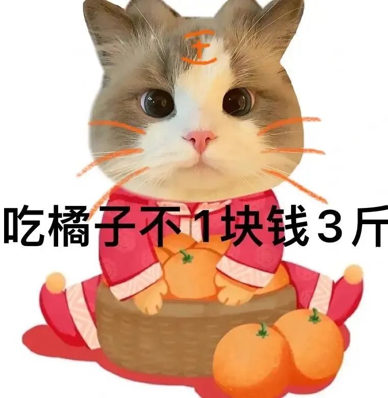 图片[5]-2022 一定暴富-喜欢表情包分享—全网表情包