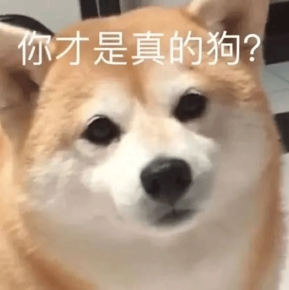 图片[16]-50个聊天阴阳怪气的表情包-喜欢表情包分享—全网表情包