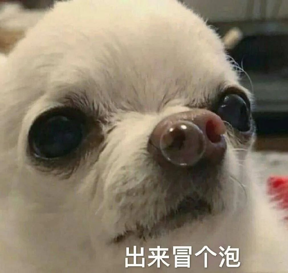 图片[23]-实用斗图表情包-喜欢表情包分享—全网表情包