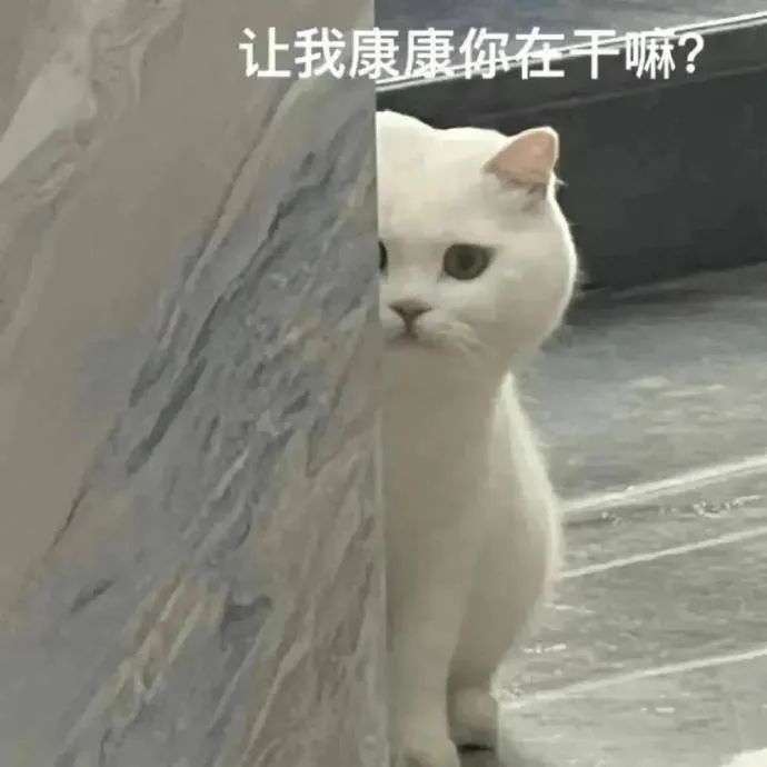 图片[8]-狠狠爱住表情包-喜欢表情包分享—全网表情包