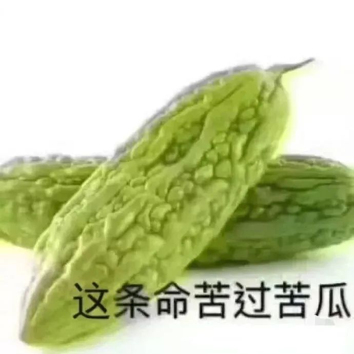 图片[58]-60个沙雕聊天斗图表情包-喜欢表情包分享—全网表情包