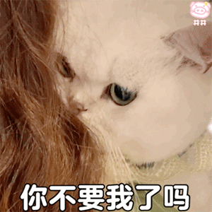 图片[9]-你不要我了吗-喜欢表情包分享—全网表情包