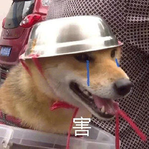 图片[14]-WC中-喜欢表情包分享—全网表情包