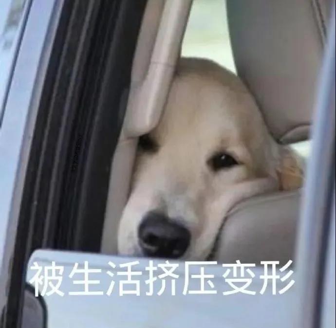 图片[8]-只想做你一个人的舔狗-喜欢表情包分享—全网表情包