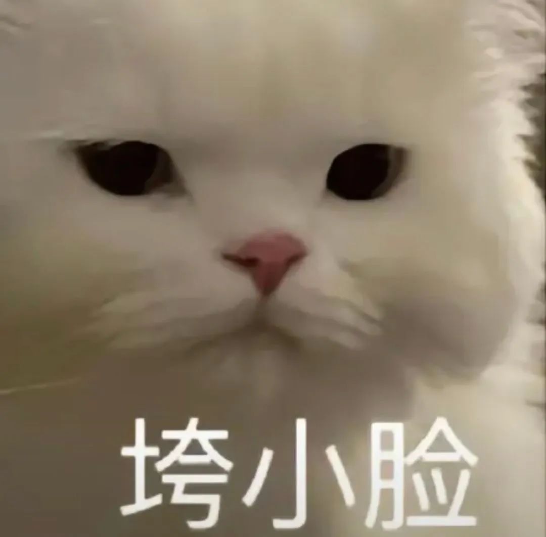 图片[16]-伤心流泪猫猫头表情包-喜欢表情包分享—全网表情包