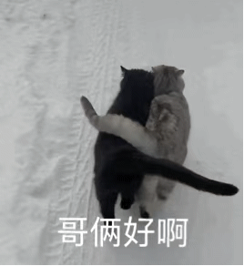 图片[5]-你在说什么屁话呢-喜欢表情包分享—全网表情包