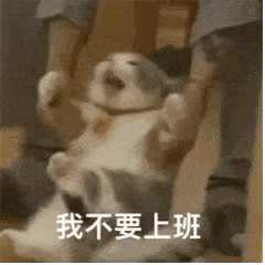图片[1]-挖嘞个亲娘-喜欢表情包分享—全网表情包