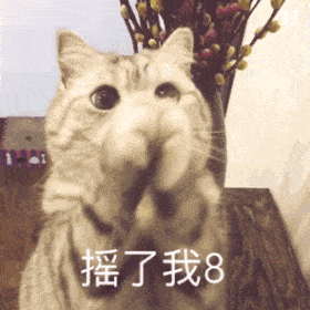 图片[5]-出来聊天！-喜欢表情包分享—全网表情包